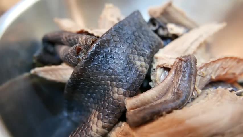 海蛇肉图片